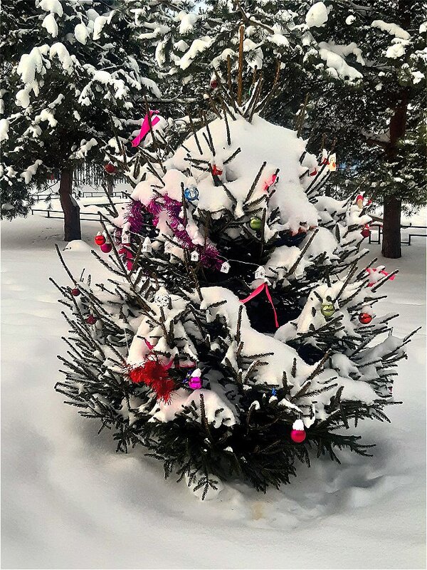 А у нас во дворе! - Нина Андронова А у нас во дворе! - Нина Андронова