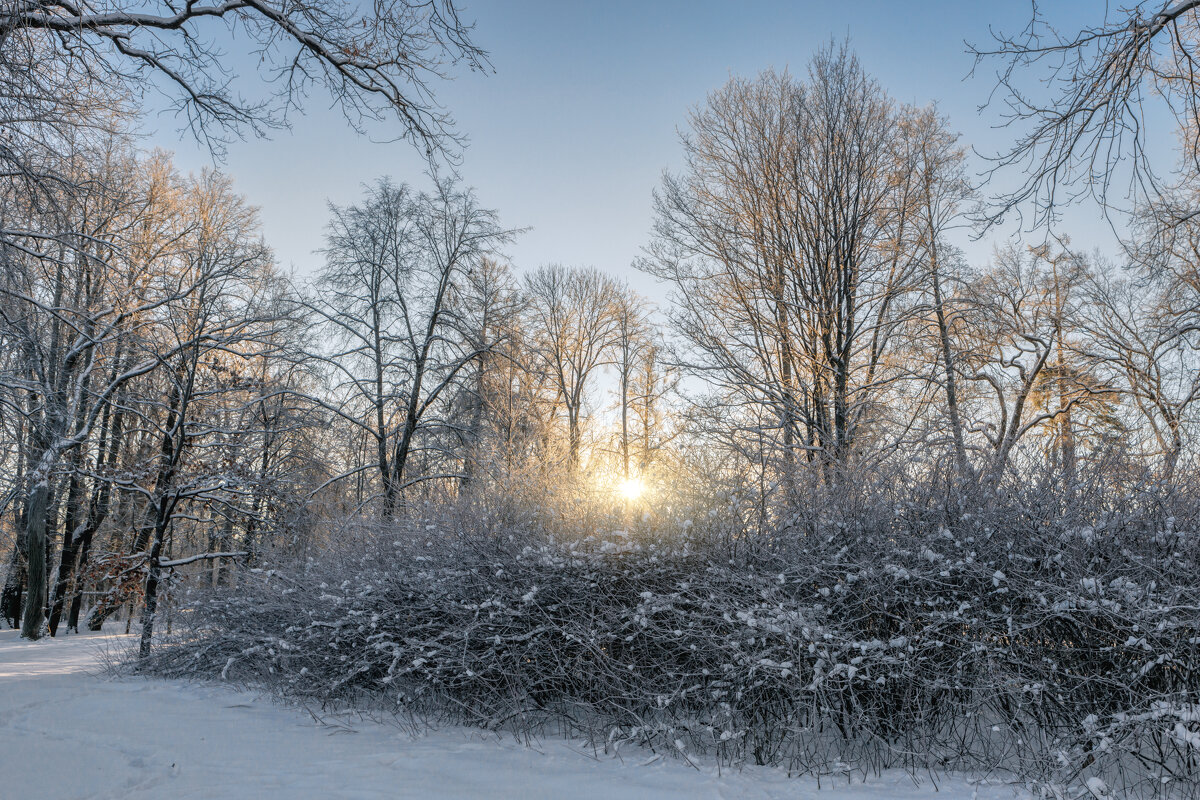 Январь - Владимир Колесников