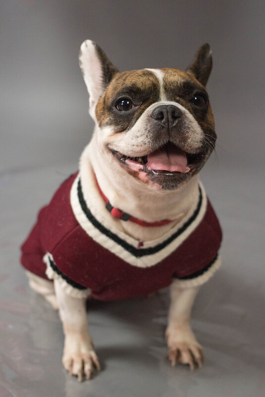 Ну что вы на меня смотрите?! - Екатерина Василькова