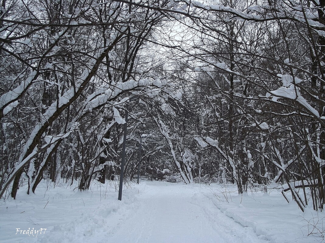 Морозный день - Freddy 97