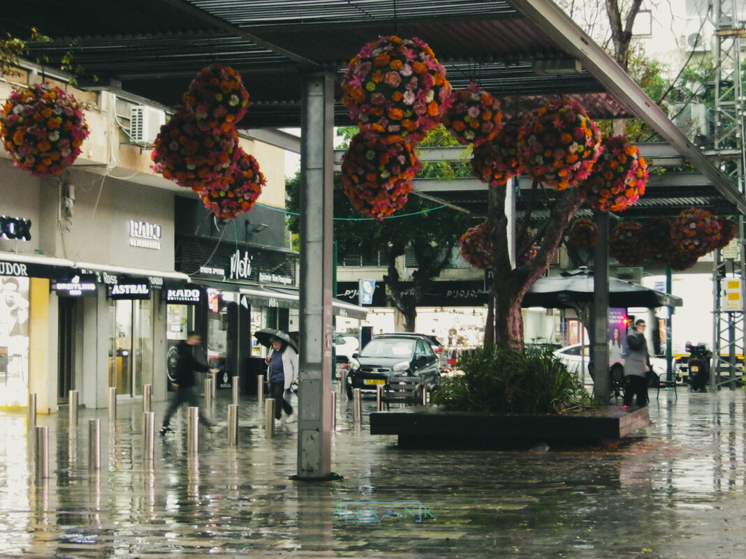 Дождь. - Argaman Табашник