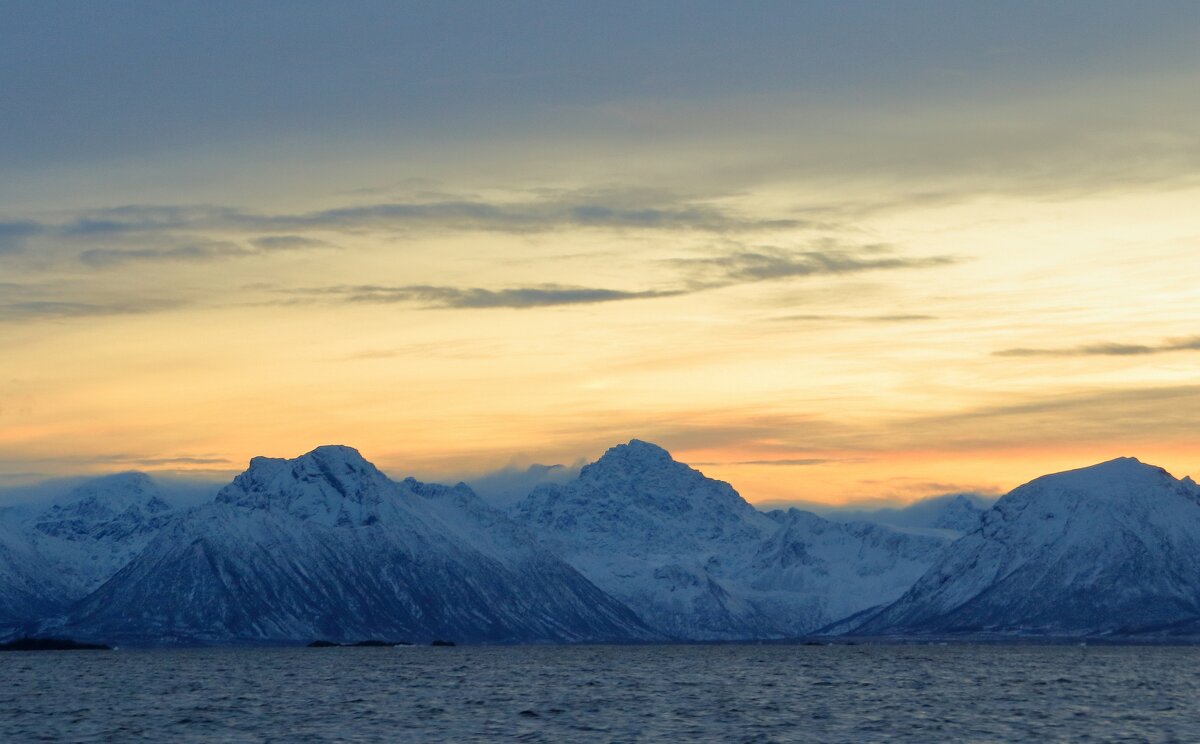 Морозной ночью - В.И 