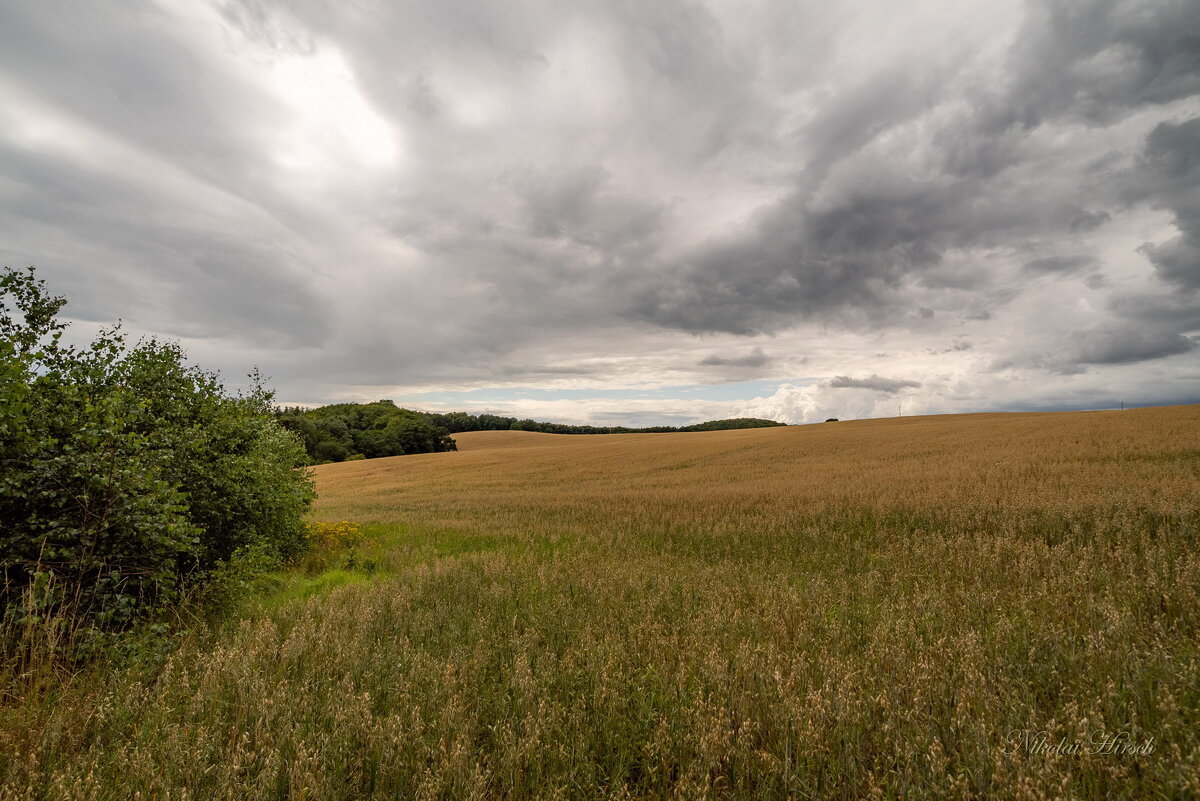 Земля и небо... - Николай Гирш