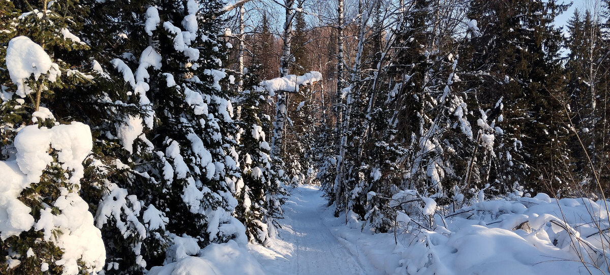 Прекрасный день!!! - Радмир Арсеньев