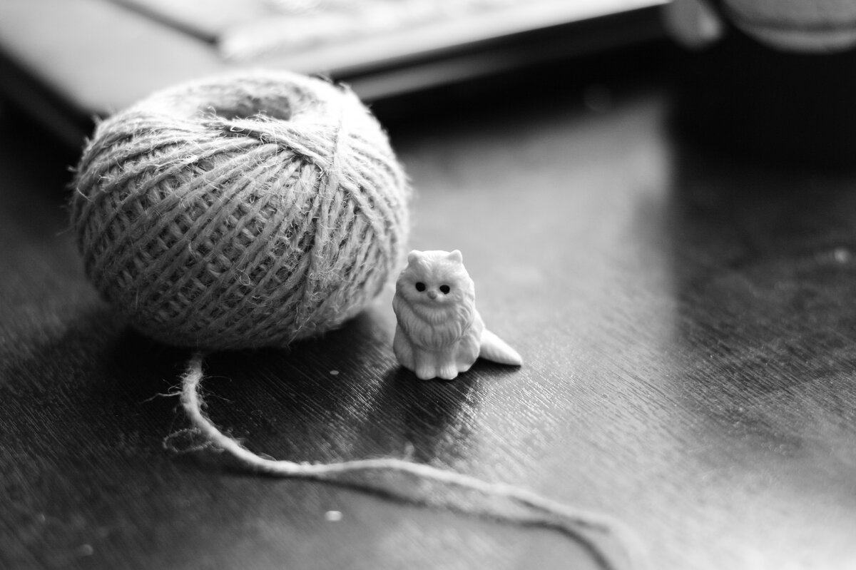 котенок с клубком - Артём Евтюхов