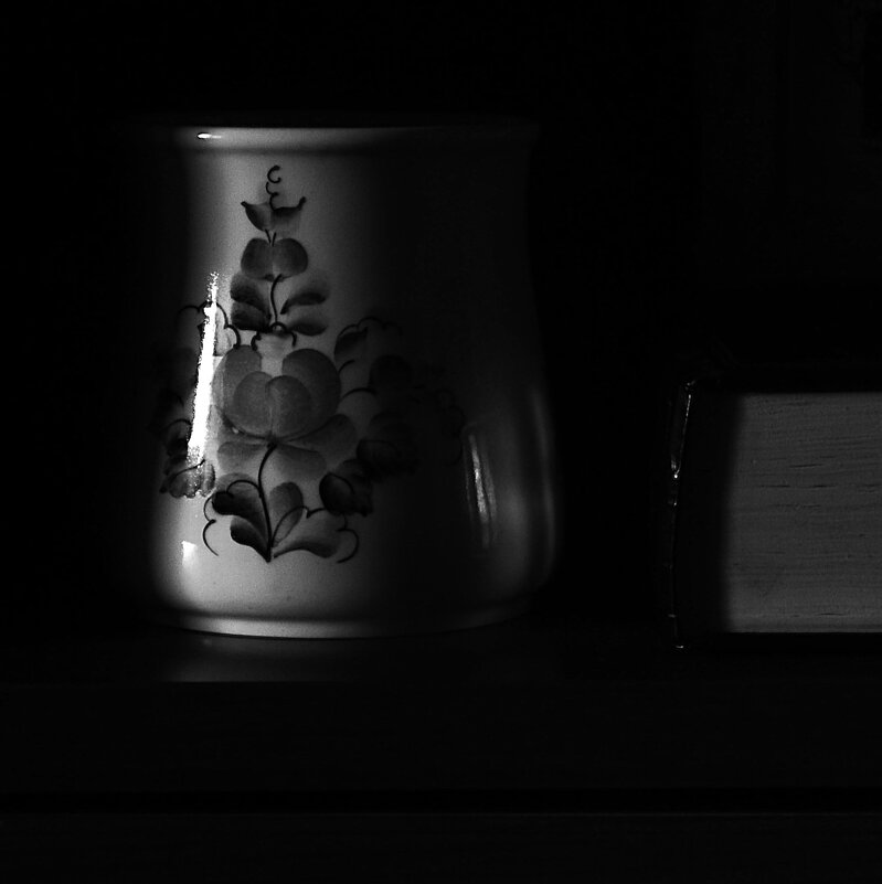 * - Василий Палий