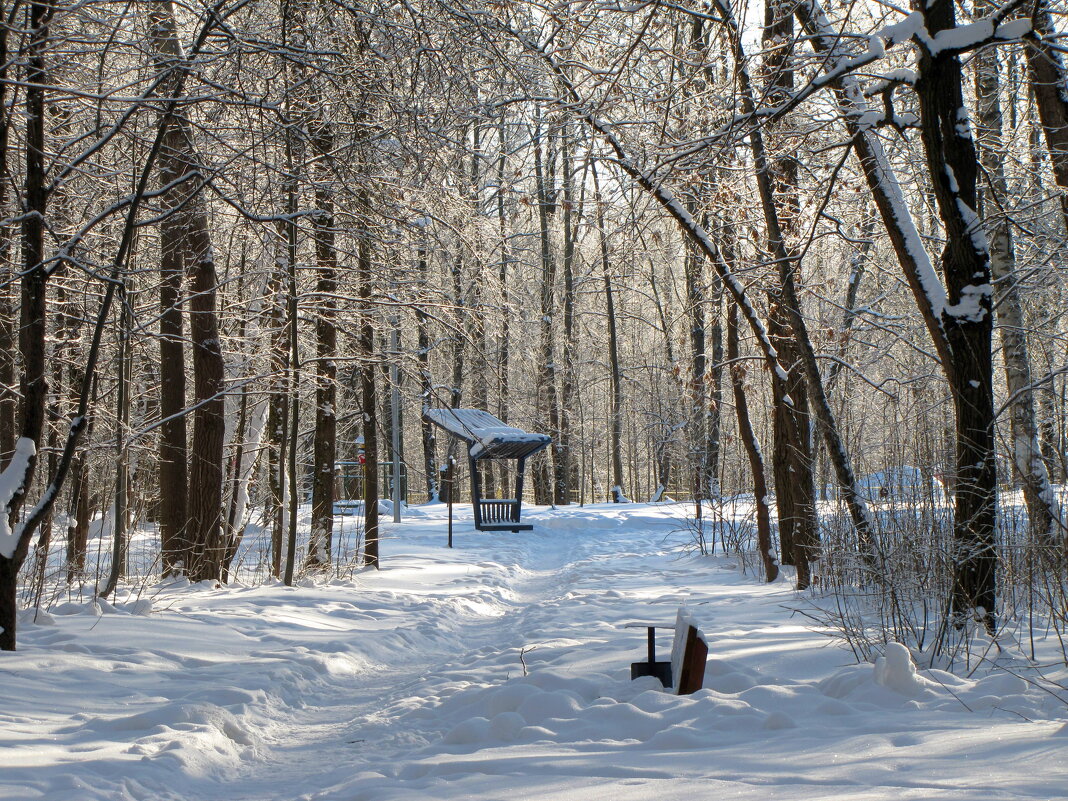 В зимнем парке. - Татьяна Гнездилова