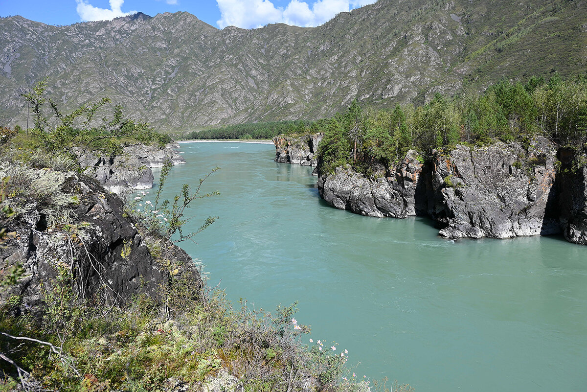 Осенняя Катунь - Валерий Медведев