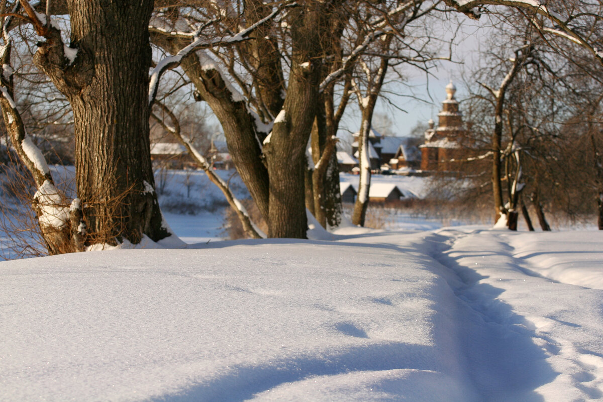 Суздаль. Мороз и солнце - Вячеслав Владимирович