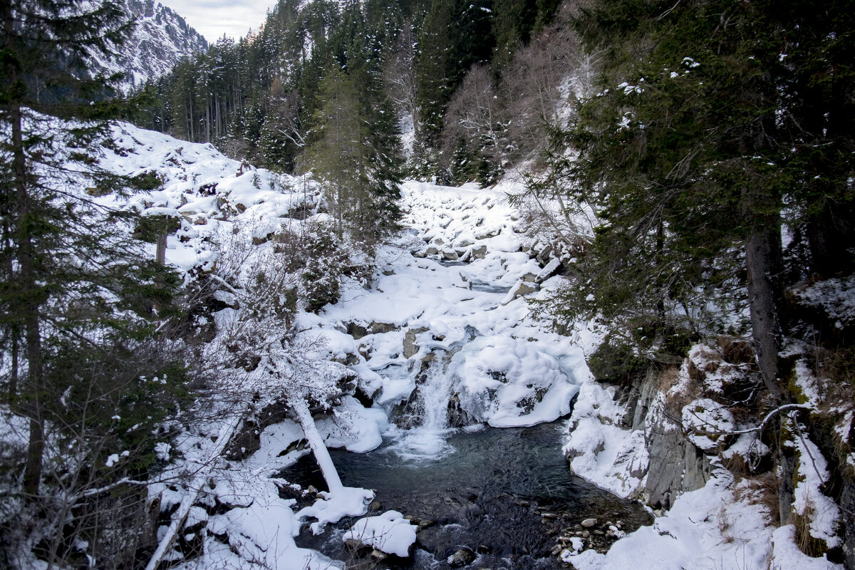 ** - Александр Липовецкий