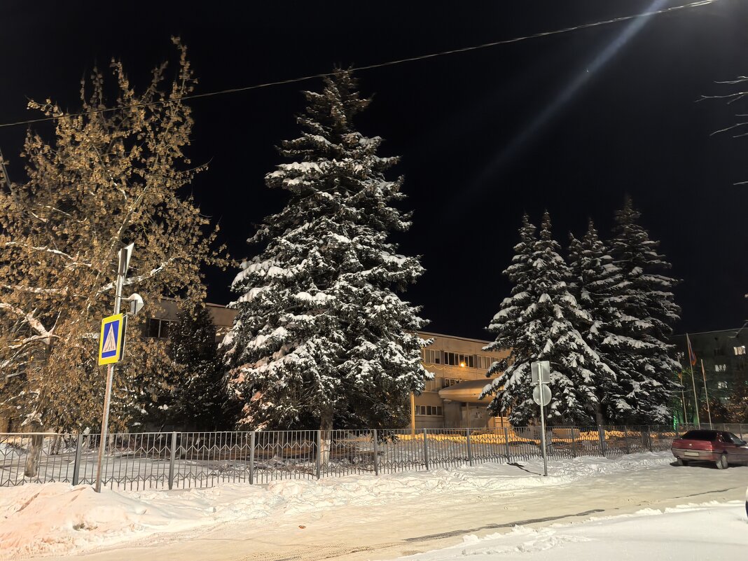 ***Ели в снежных шубках*** - Olga Oskolkova ***Ели в снежных шубках*** - Olga Oskolkova