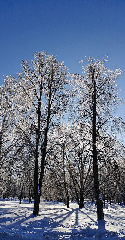 После сильного мороза - Игорь Сычёв