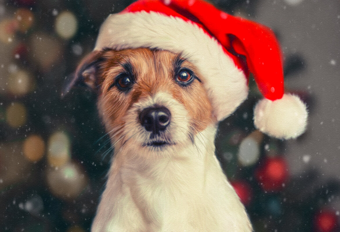 Джек - Оксана Федосова