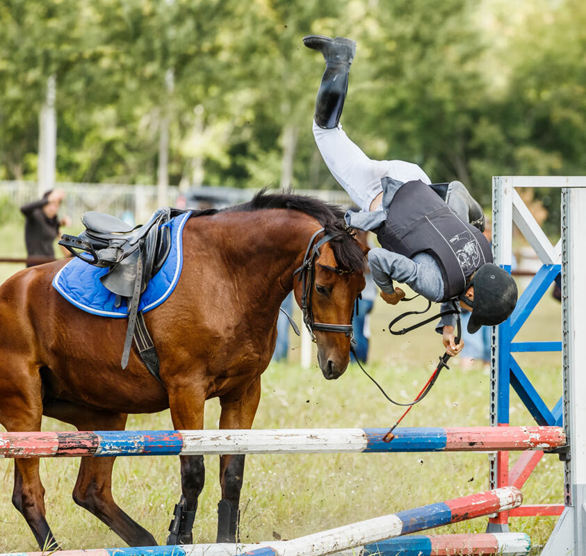 Конкур закидка - SanSan 