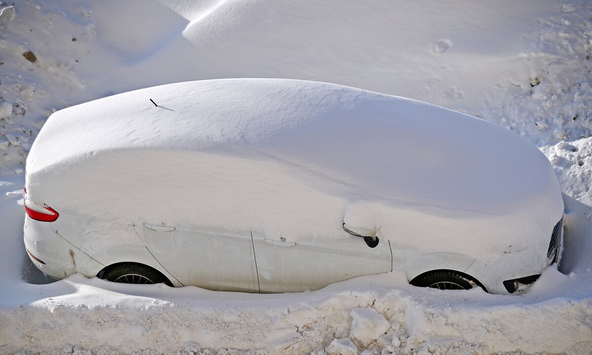 Подснежник - Валерий Иванович