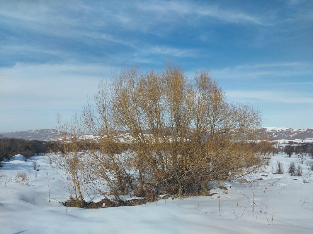 Talgar.  Ak  Bulak. - Murat Bukaev 