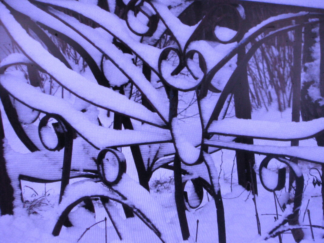 Украсил снег решётку - Людмила Смородинская