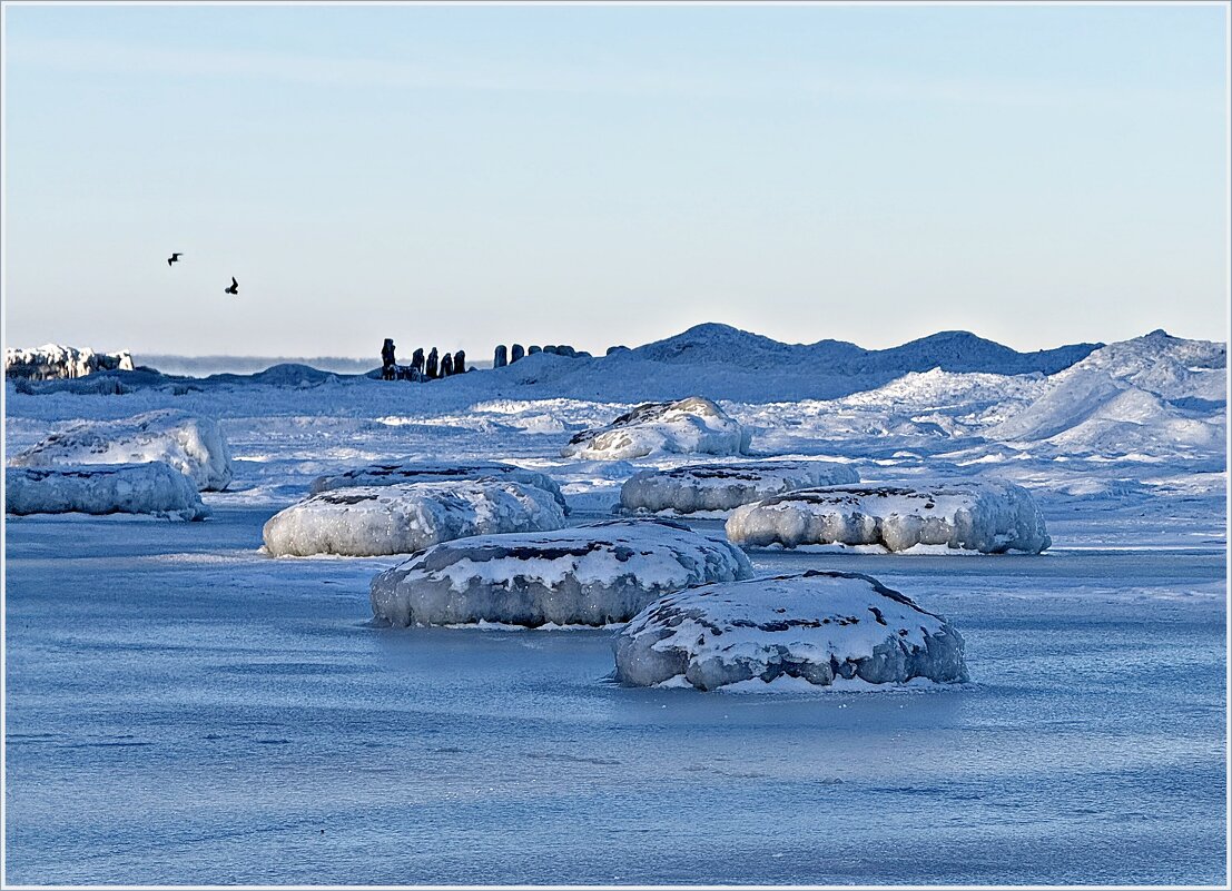 Балтика, 31 января. - Валерия Комова