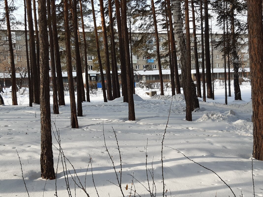 Город зимой - Галина Минчук Город зимой - Галина Минчук