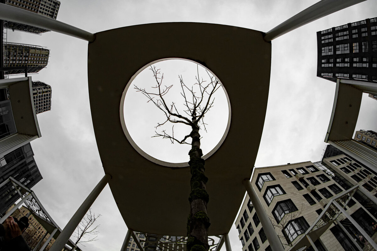 Городские Джунгли - Николай Нестеренко