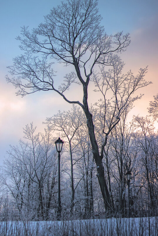 *** - Сергей Григорьев