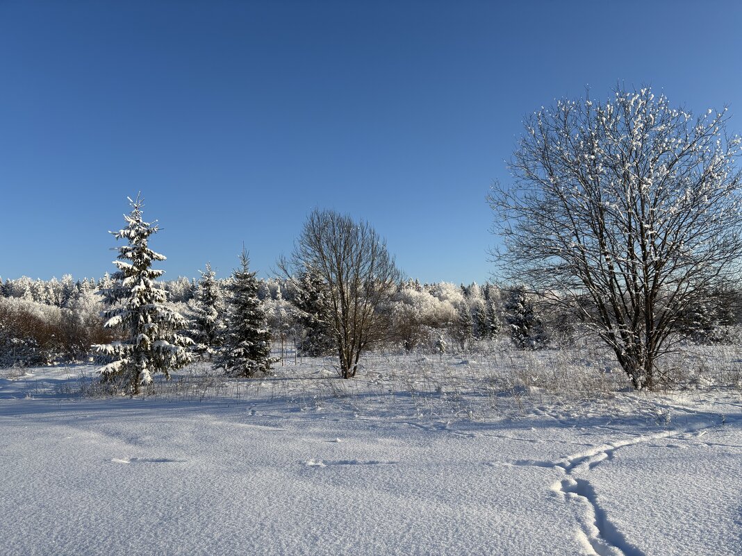 Зимний пейзаж - Ольга Савельева 