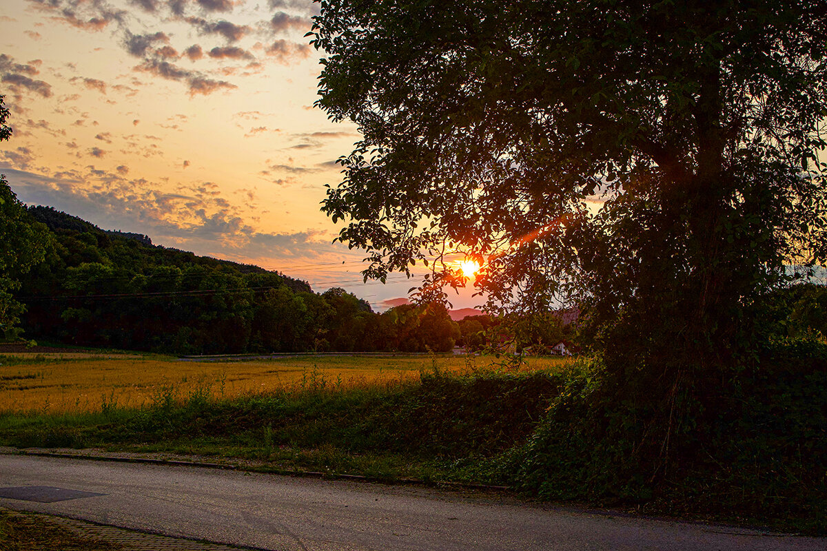 Закатный час. - Lucy Schneider Закатный час. - Lucy Schneider