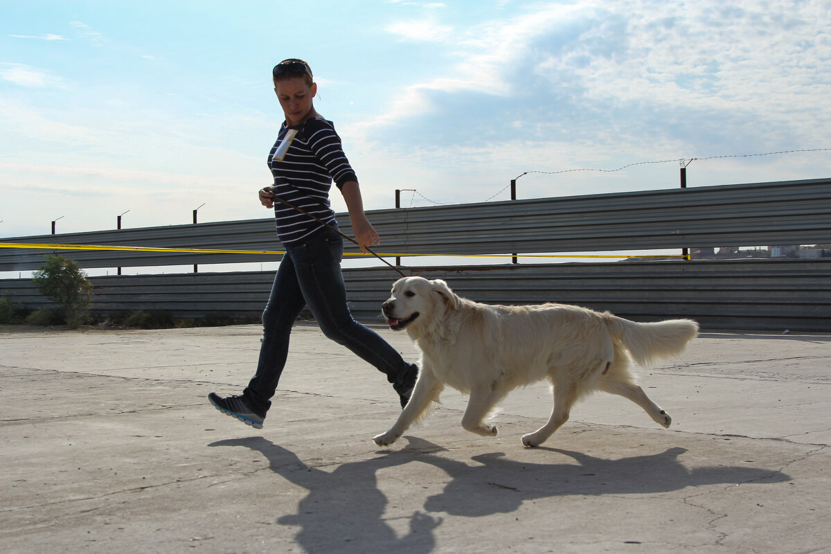 когда рядом верный друг, земли можно не касаться. - Ольга Косачова