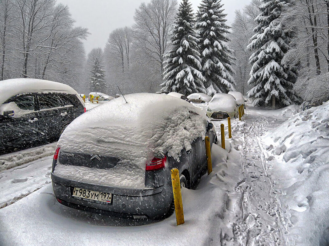 Зимняя фантазия... - Юрий Яньков