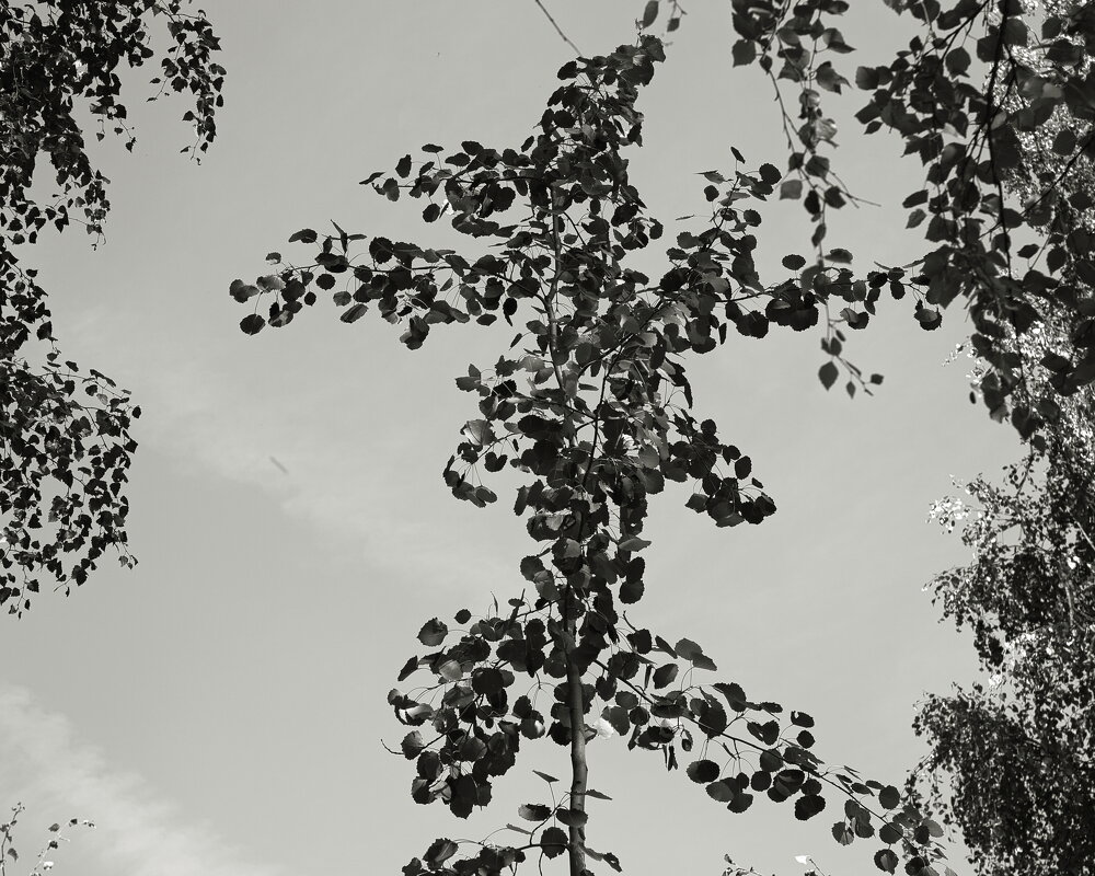 Фотография - Денис Безногов