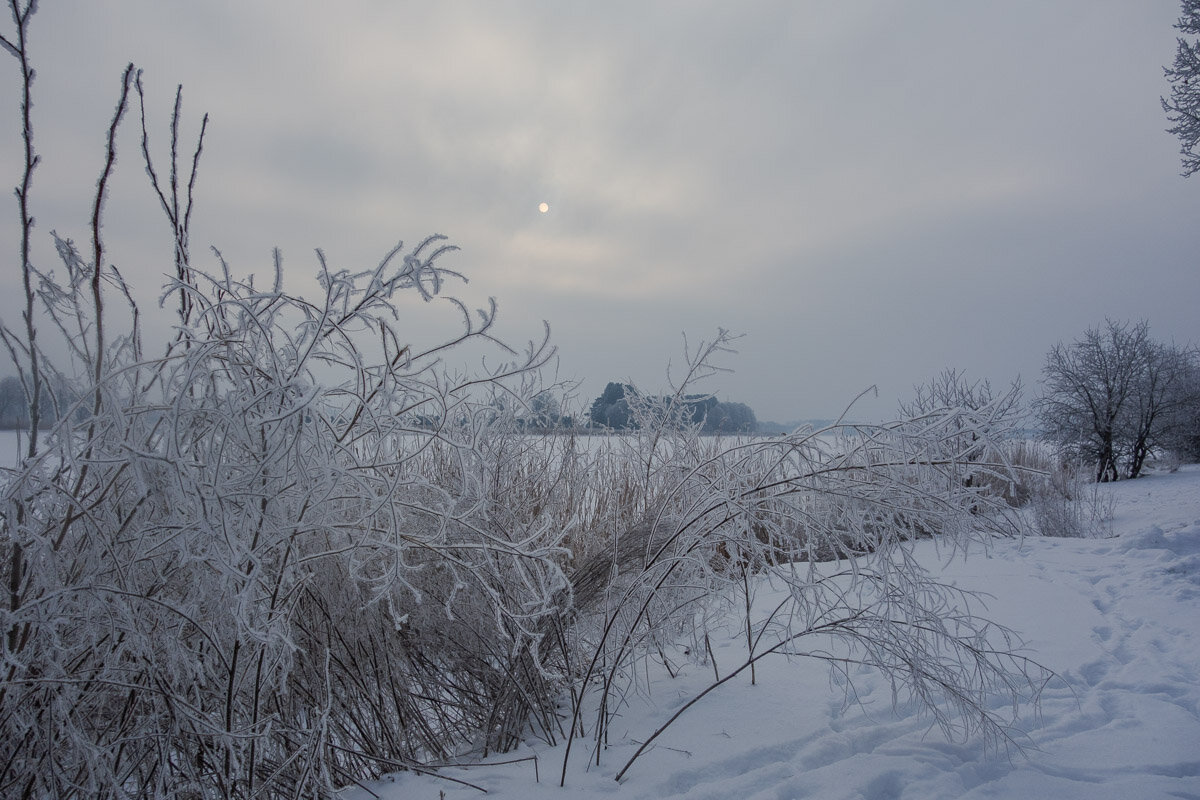 морозный день - Геннадий Порохов морозный день - Геннадий Порохов