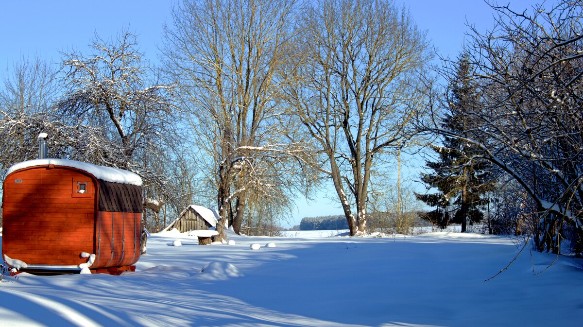 Мороз и солнце - Валерия Ширковцова