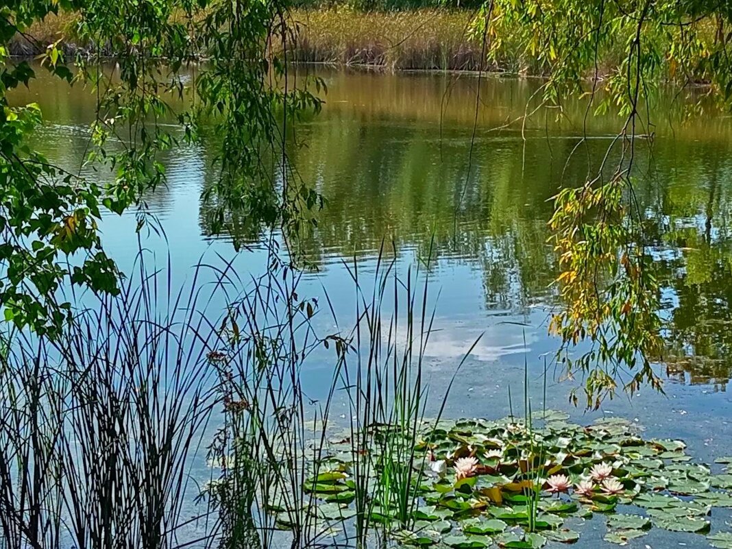 Летний денёк! - Надежда Летний денёк! - Надежда