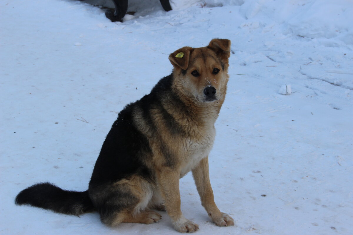 в парке - Венера Чуйкова в парке - Венера Чуйкова