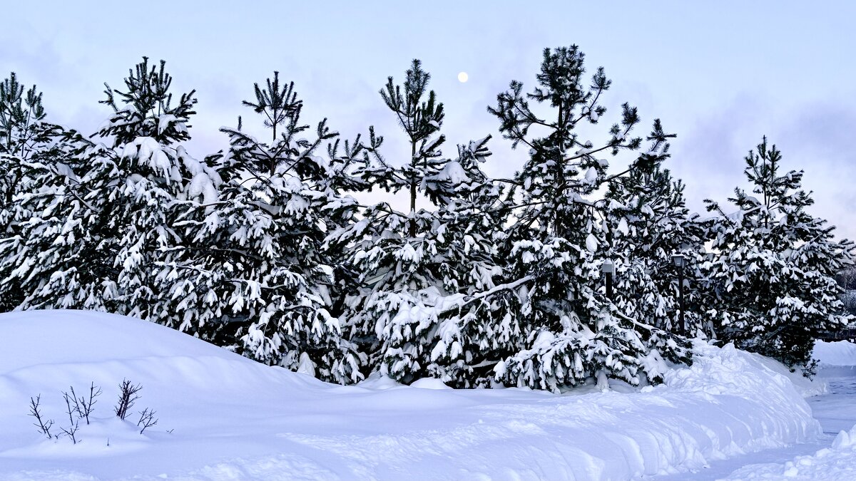 «Ах, как прекрасна эта ЗИМА..!»’26г. - Арина Невская
