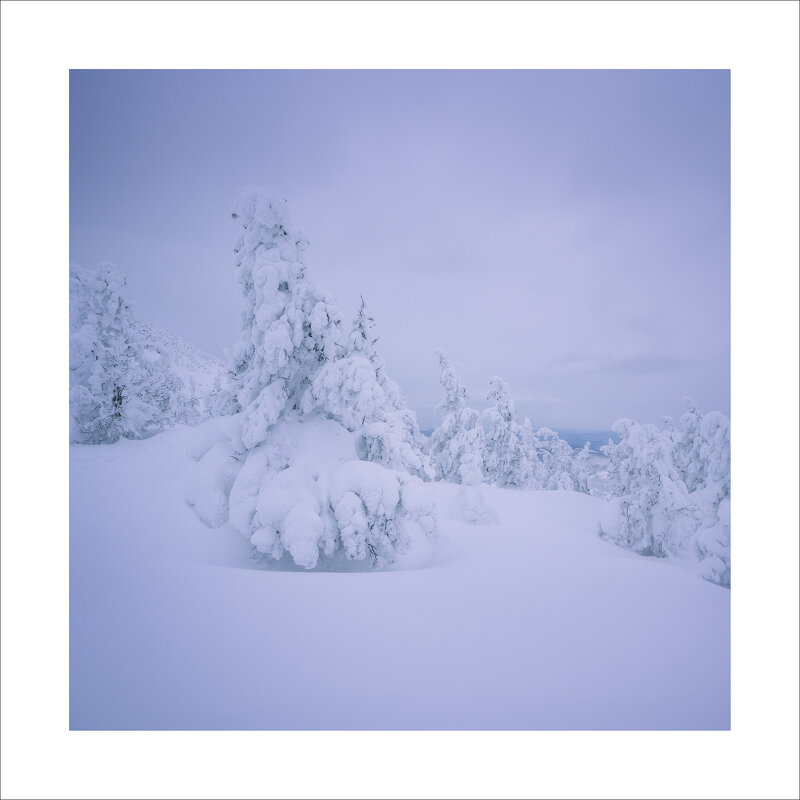 * - Александр Иванов