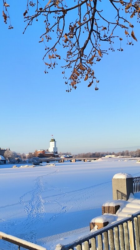 Морозный день в Выборге. - Ольга Морозный день в Выборге. - Ольга
