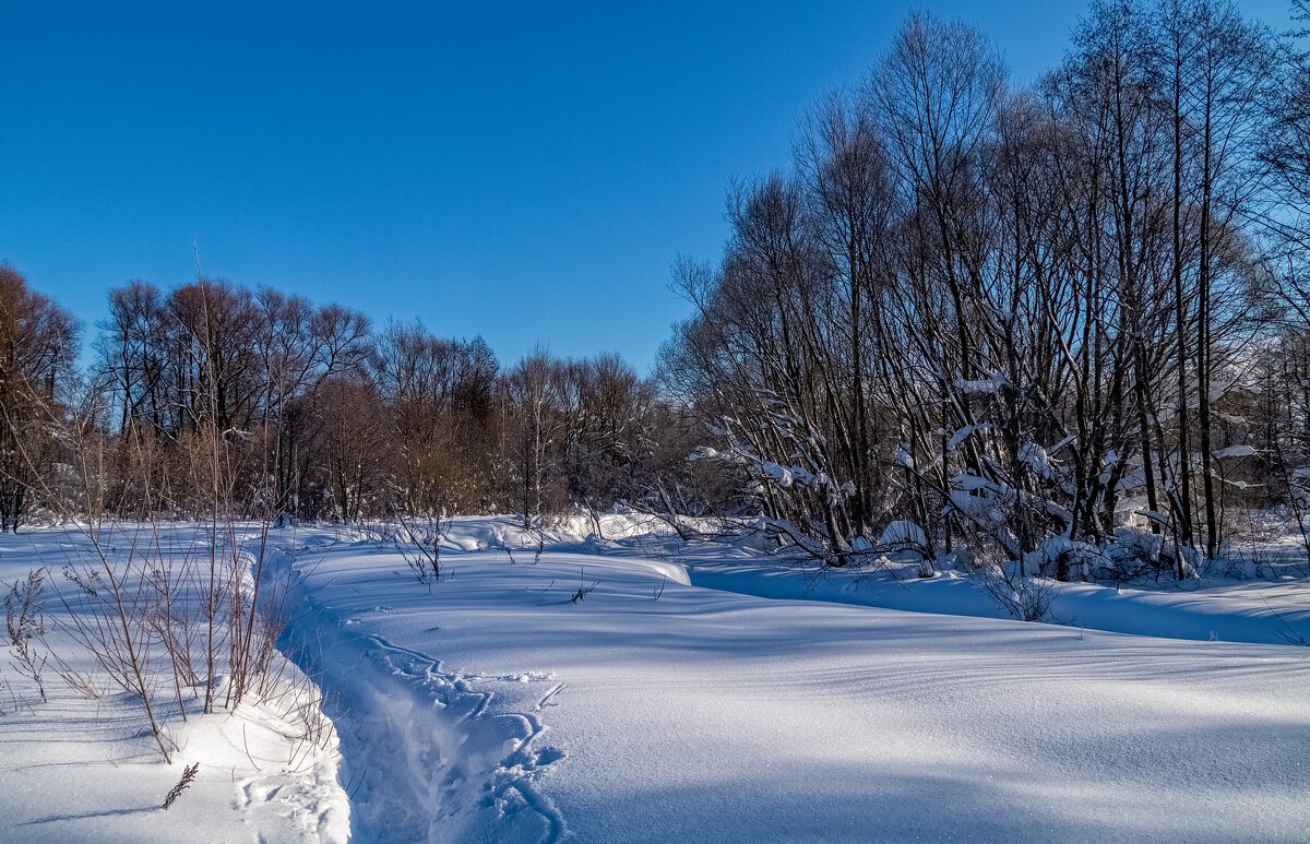 Январское утро 2 - Андрей Дворников Январское утро 2 - Андрей Дворников