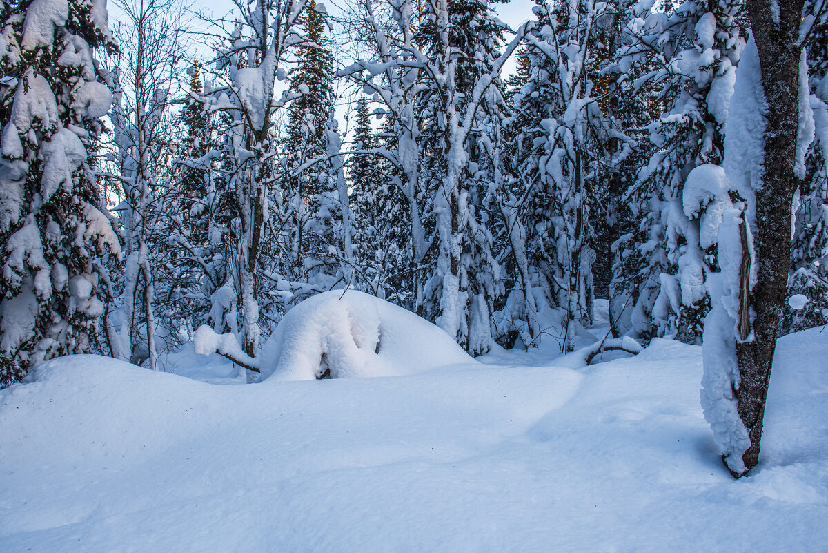 Последний день января - Виктор Садырин Последний день января - Виктор Садырин