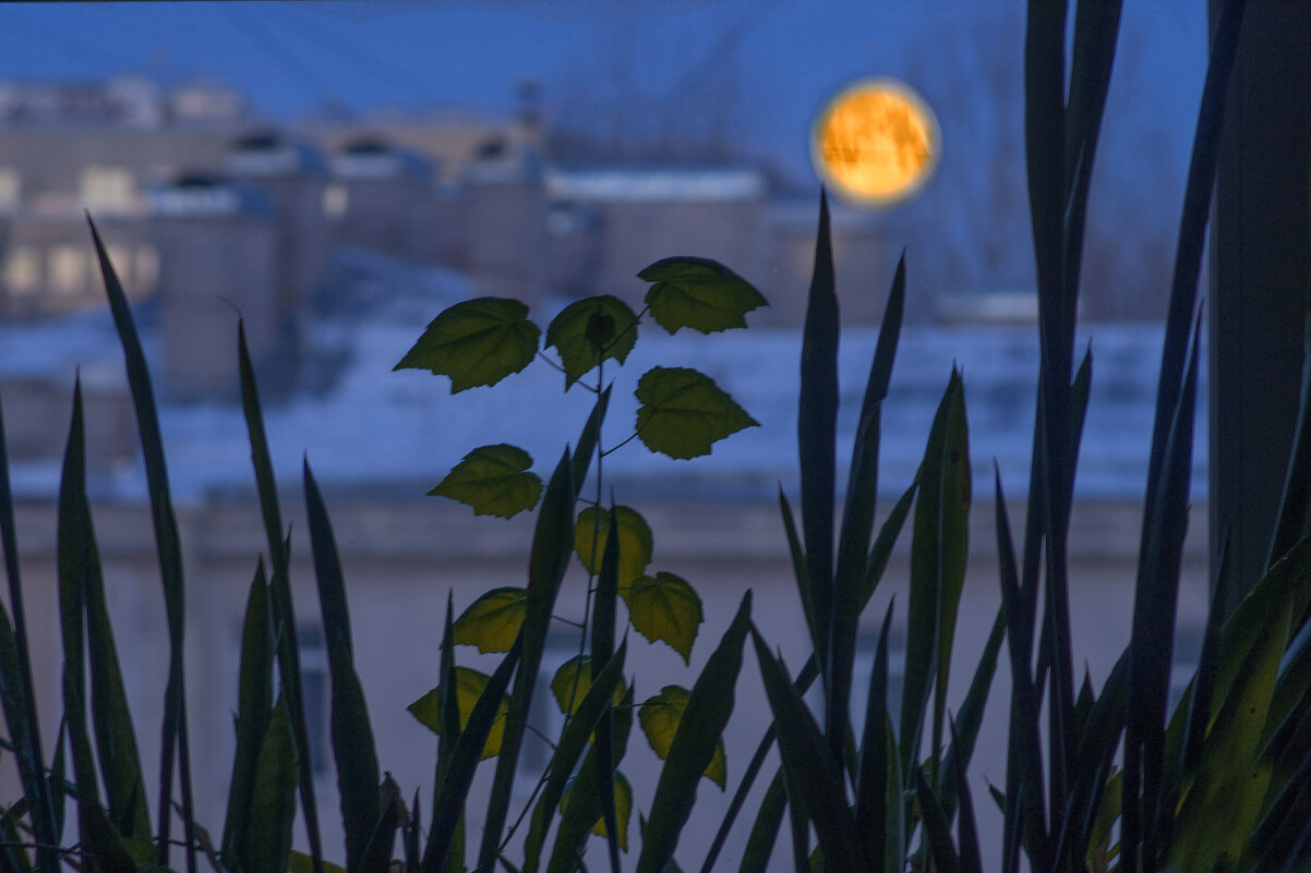 .... - ВЛАДИМИР 