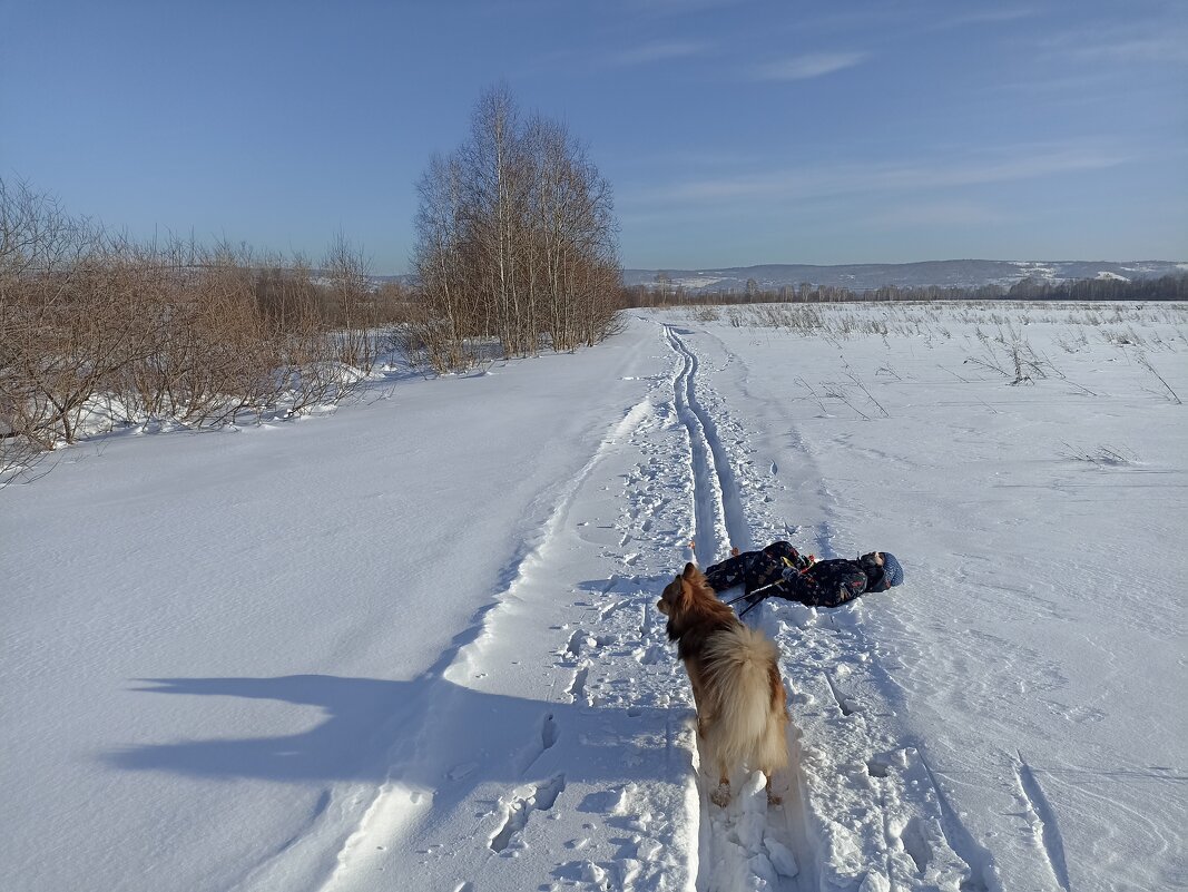 Лыжню! - Павел Трунцев Лыжню! - Павел Трунцев