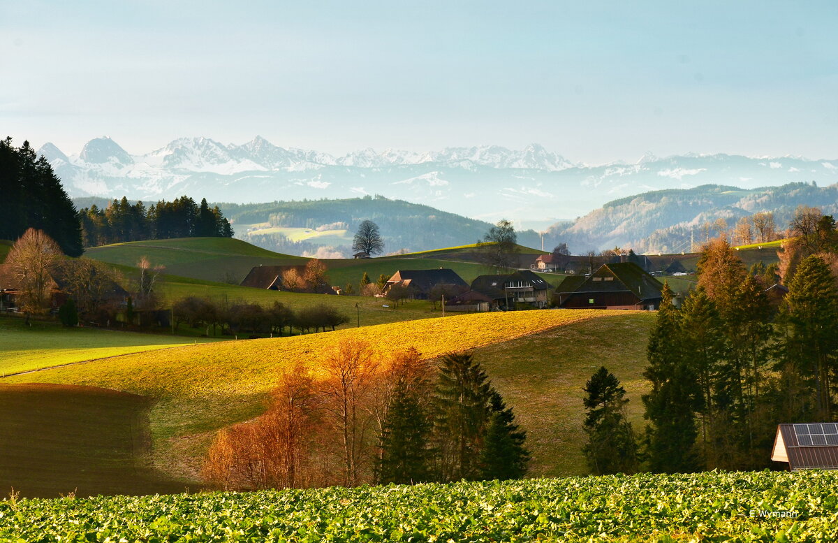 winter view - Elena Wymann