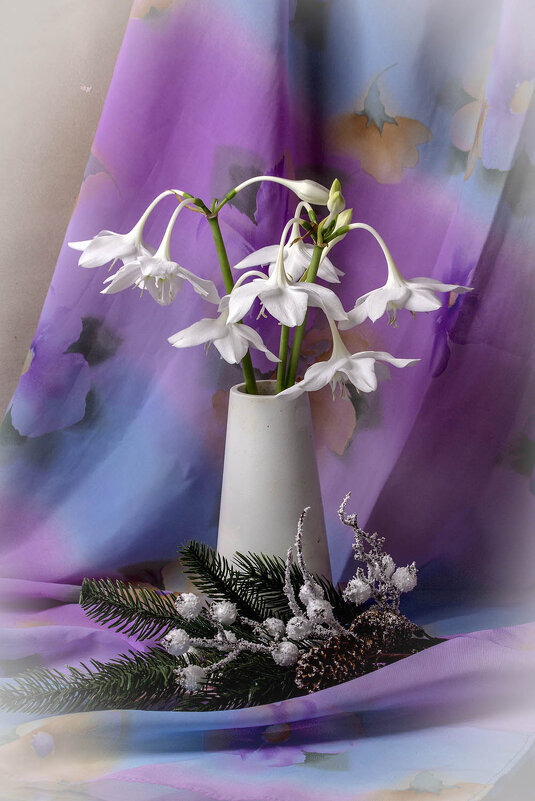 Контраст - Людмила Павловна Крышковец Контраст - Людмила Павловна Крышковец