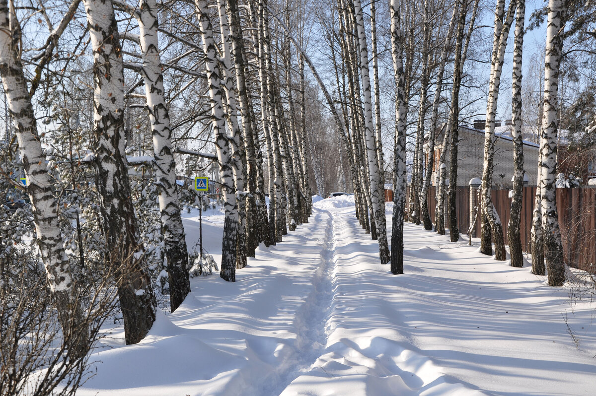 Первое февраля - Татьяна Машошина