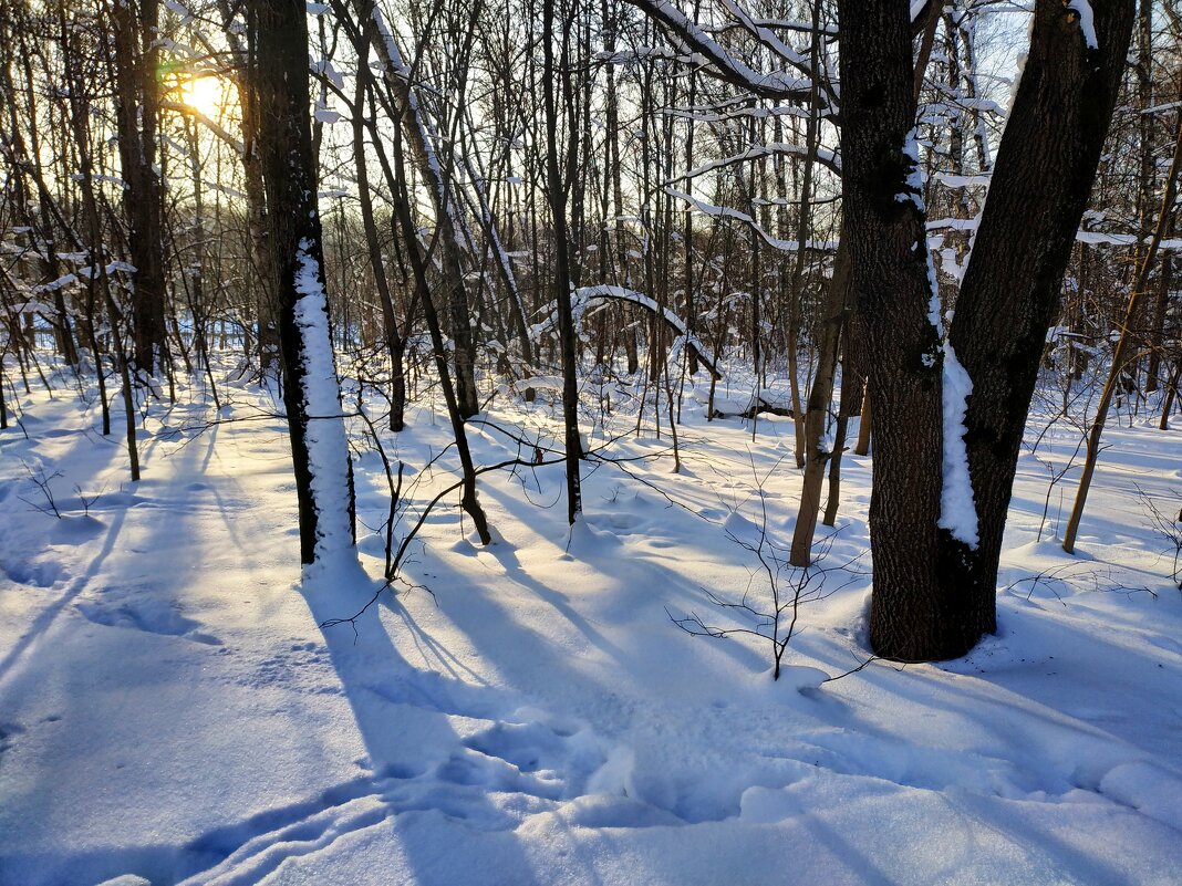* * * - Андрей Лукьянов * * * - Андрей Лукьянов