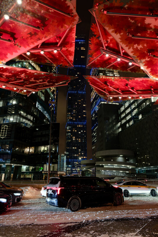 Краски города. Зимнее - Dar(k) Life