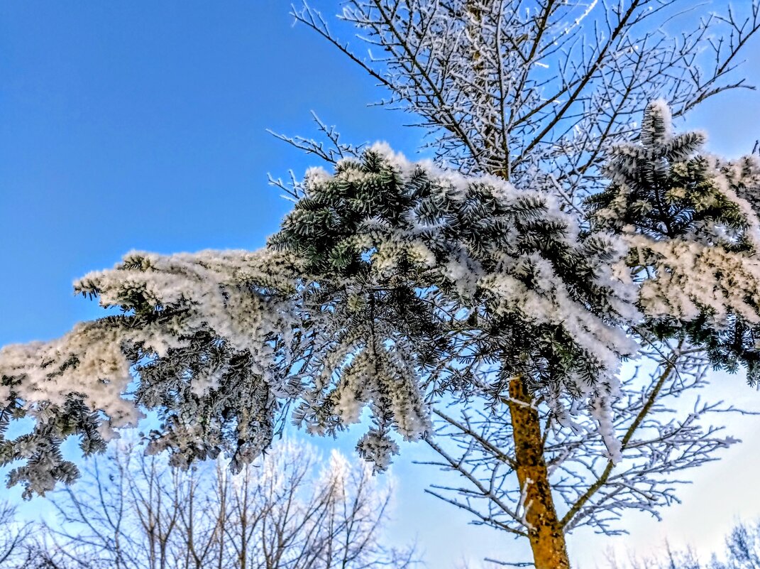 А у нас во дворе - Veera V