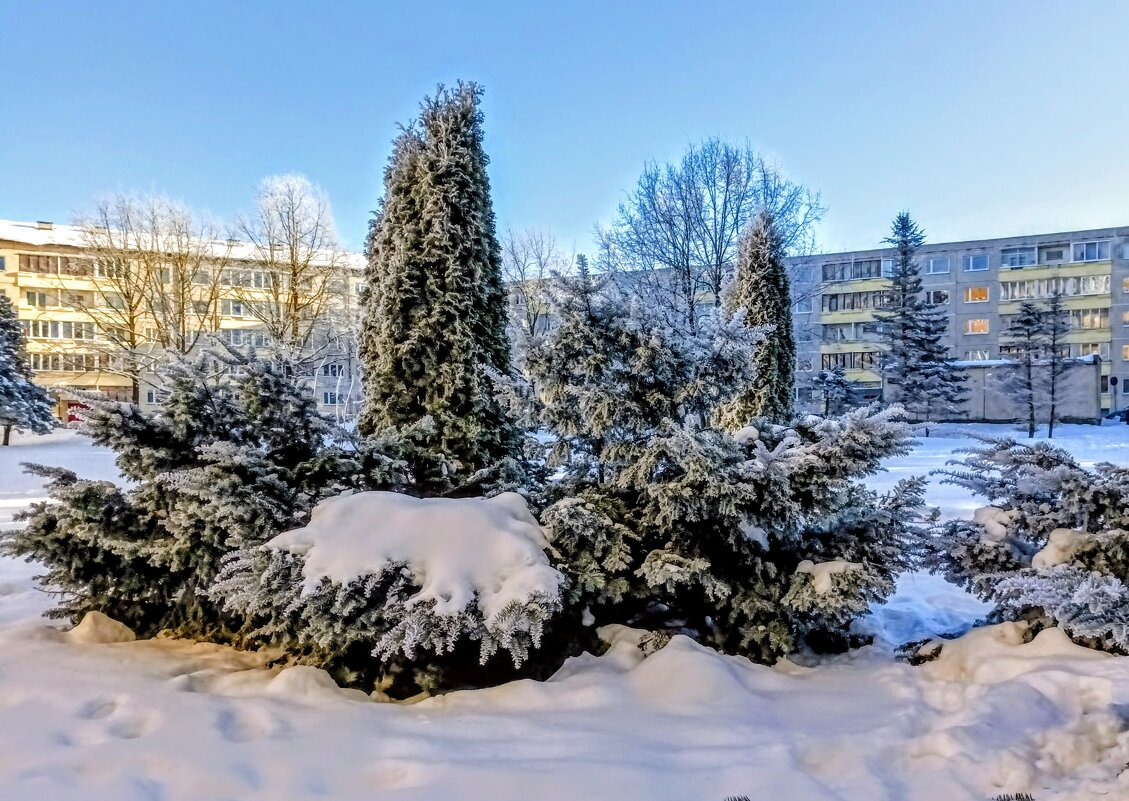 А у нас во дворе - Veera V