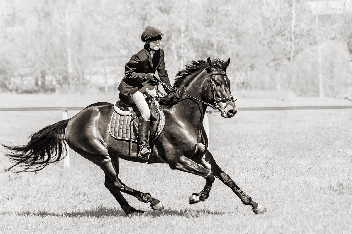 Конкур - SanSan 