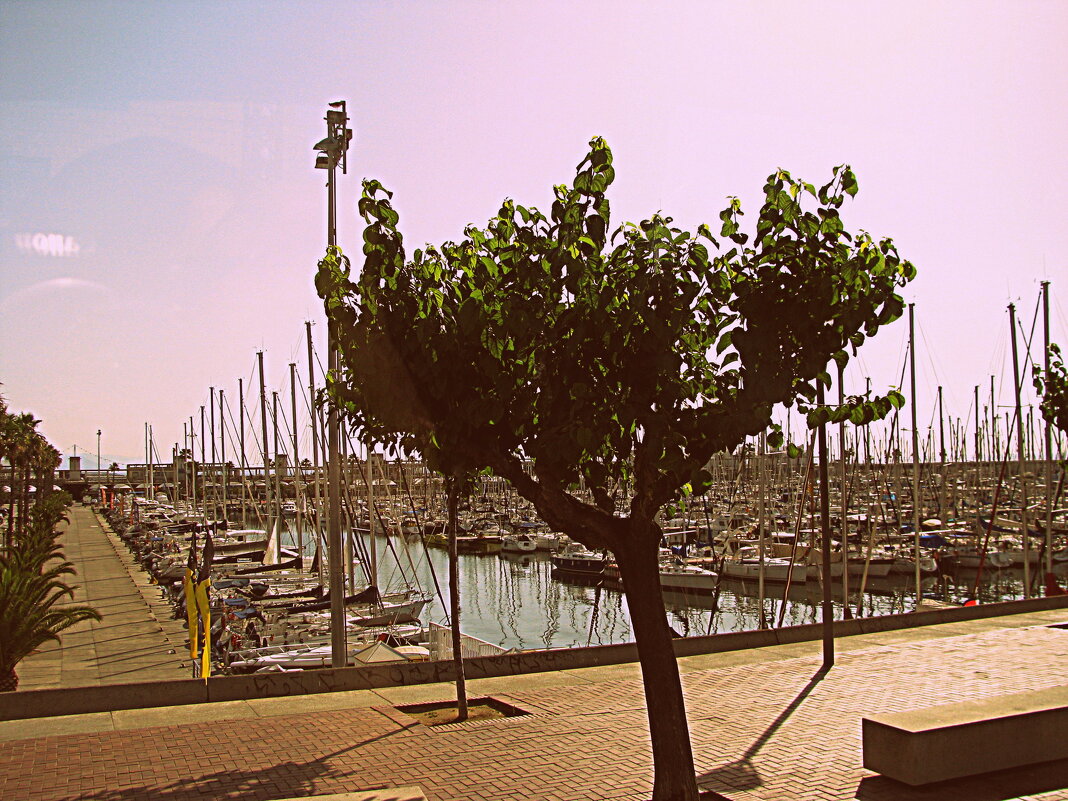 Барселона. - Владимир Драгунский